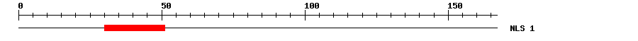 NLS