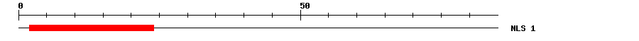 NLS