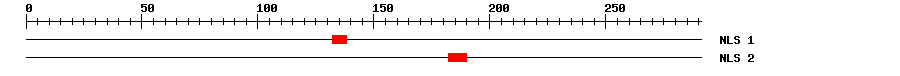 NLS