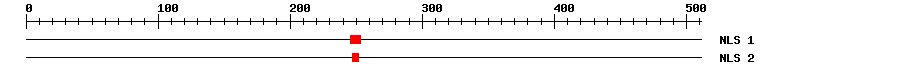 NLS