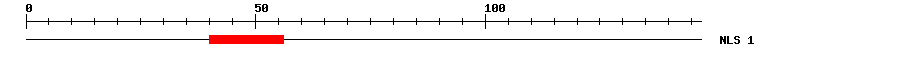 NLS