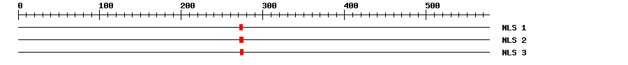 NLS