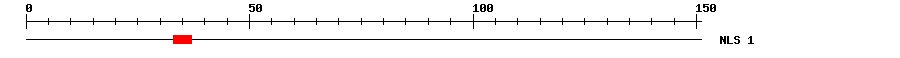 NLS