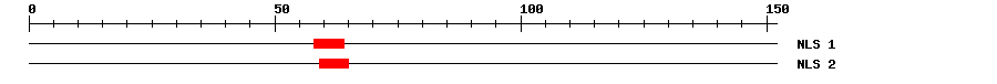 NLS