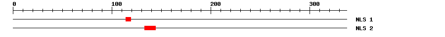 NLS