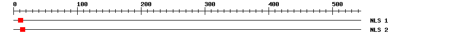 NLS