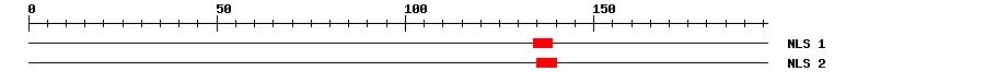 NLS