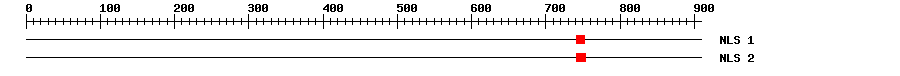 NLS