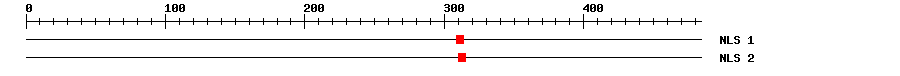 NLS