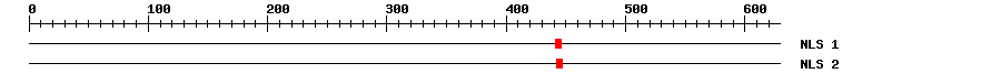 NLS