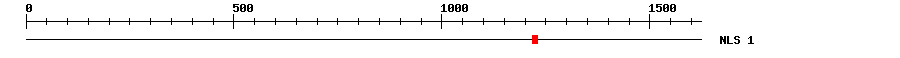 NLS