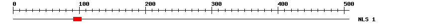 NLS