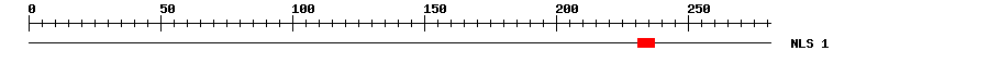NLS
