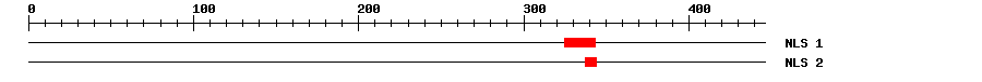 NLS
