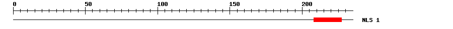 NLS