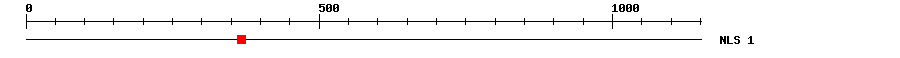 NLS