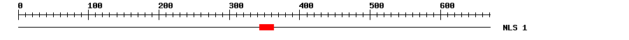 NLS