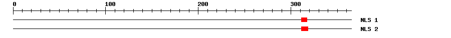 NLS
