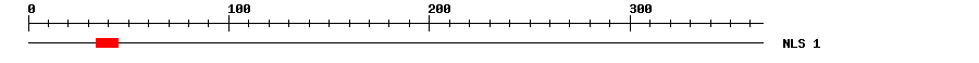 NLS