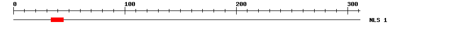 NLS