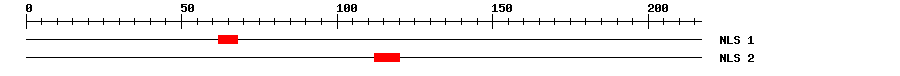 NLS
