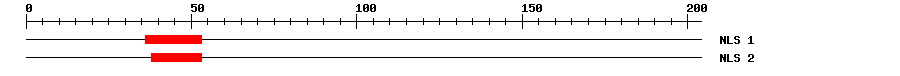 NLS