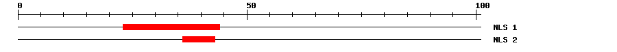 NLS