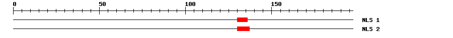NLS