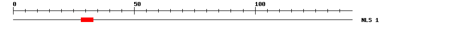 NLS