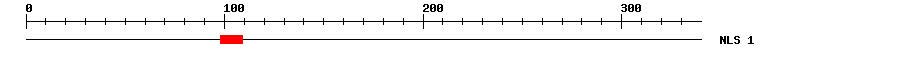 NLS