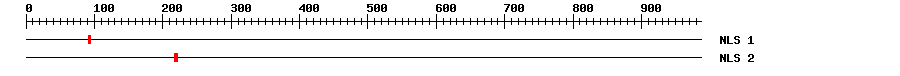 NLS