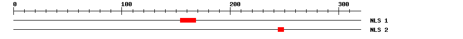 NLS