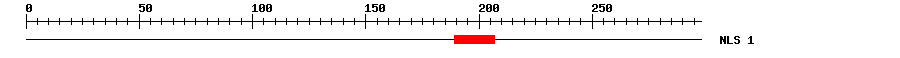 NLS