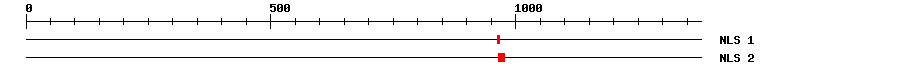 NLS