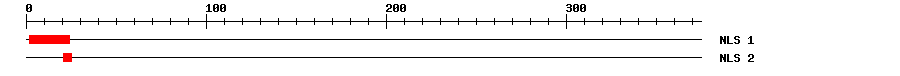 NLS