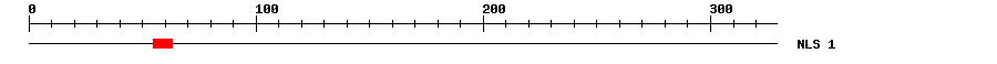 NLS