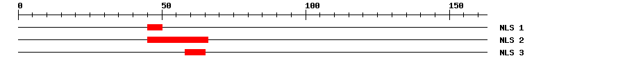 NLS