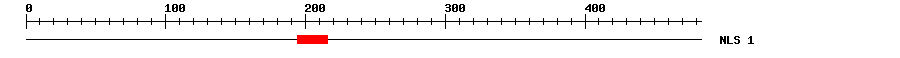 NLS