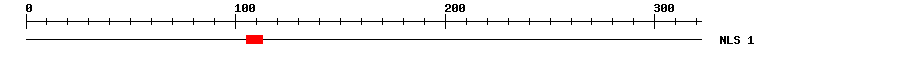 NLS