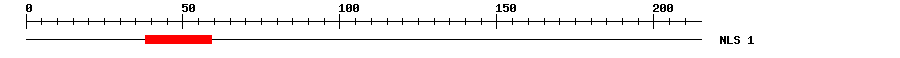 NLS