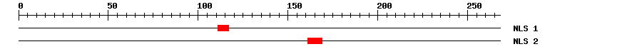 NLS