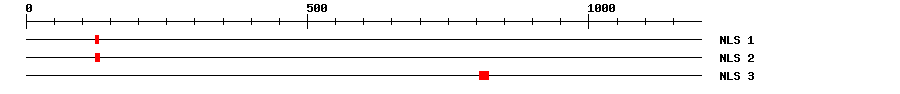 NLS