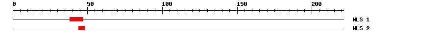 NLS