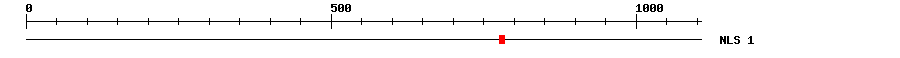 NLS