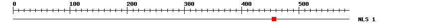 NLS