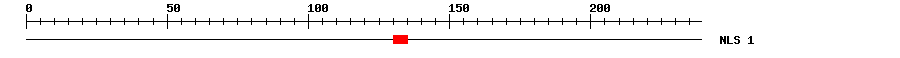NLS