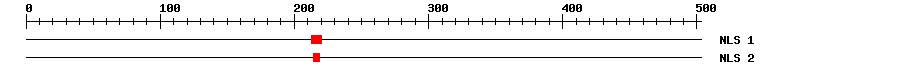 NLS