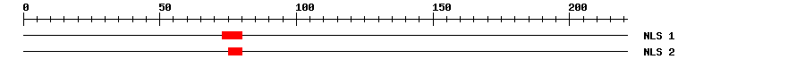 NLS