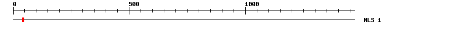 NLS