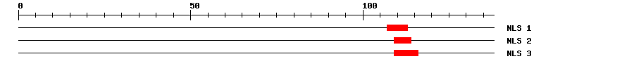 NLS